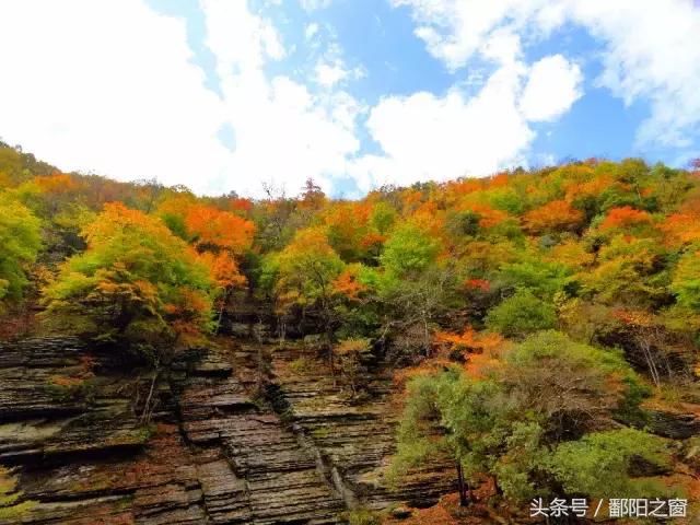 陕西：“天然氧吧”、“秦岭的九寨沟”还有唐太宗李世民的银杏…