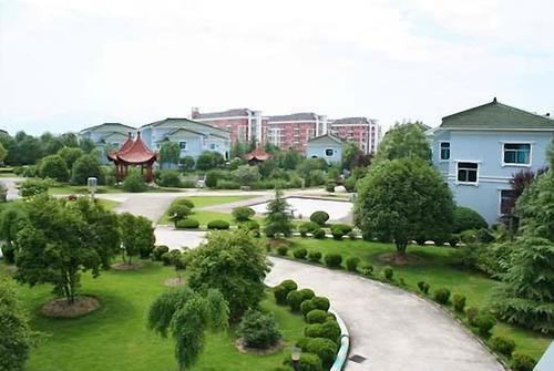 它被称为浙江第一村,是一座美如花园的村子,看看它美在哪里