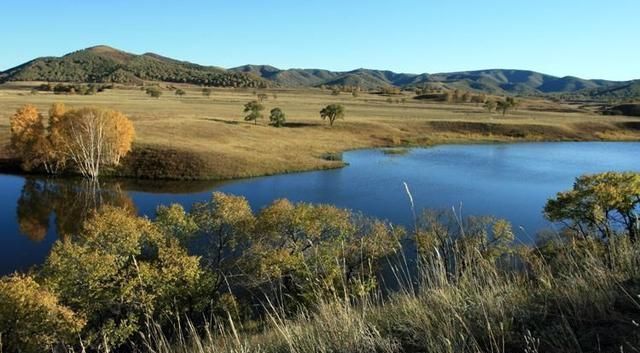 心倦了的时候，品一品这些诗词，过一段属于自己的闲暇时光