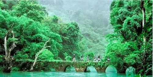 中国最美十大森林:大自然中生命的摇篮,你最向往哪一个森林?【2020热门旅游景点】