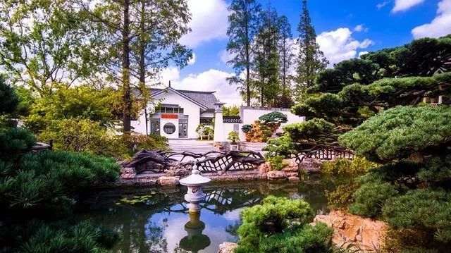 国内最大的专类盆景园，江南园林海派风格美不胜收