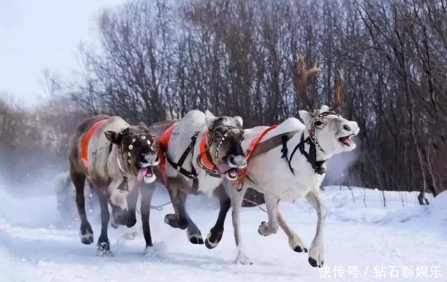 以为看极光又贵又远吗？就在中国不远处，全球看极光最便宜的地方