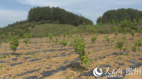  「治理」思南县黄龙泉村： 根植基层治理 助力乡村振兴