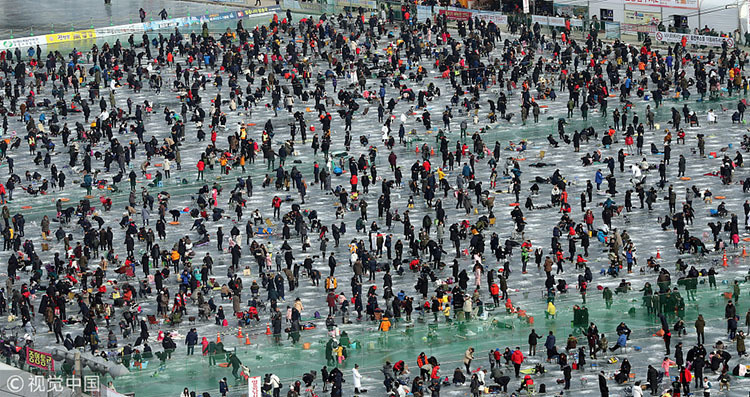 眼界 | 韩国华川鳟鱼节场面壮观