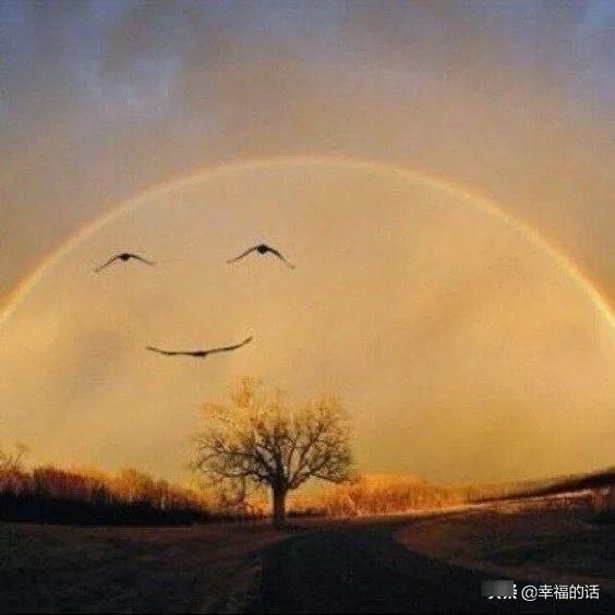 全球难得—见的照片,拿出来大家欣赏