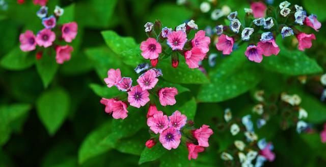  快乐@唯美走心的励志句子，哲理深刻，我们一起体会