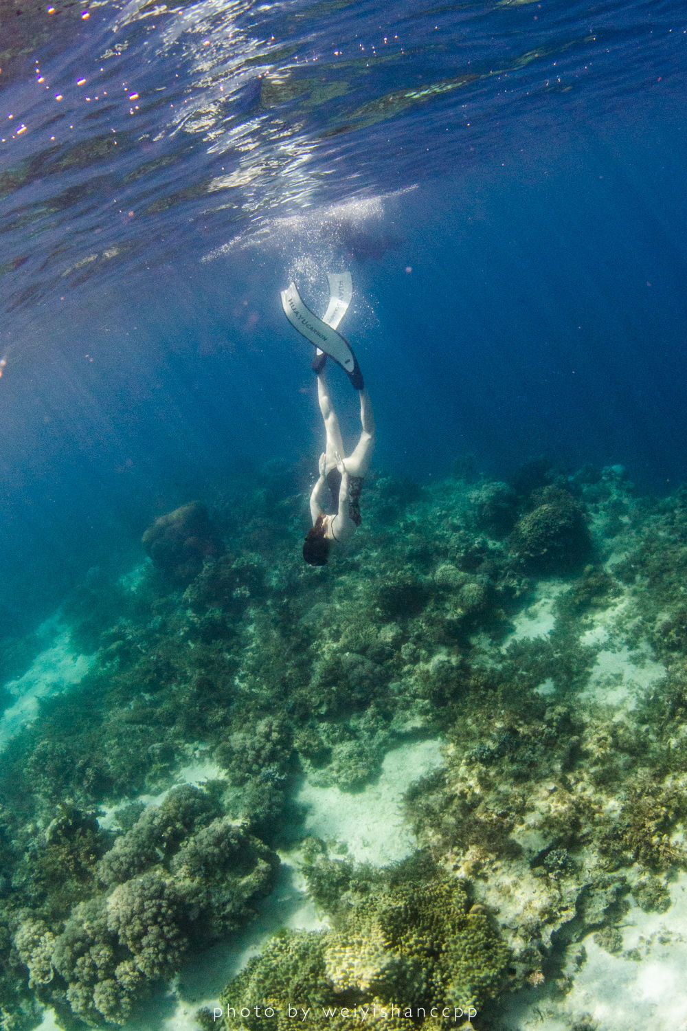去薄荷岛学自由潜，那是潜入深海的快落呀！