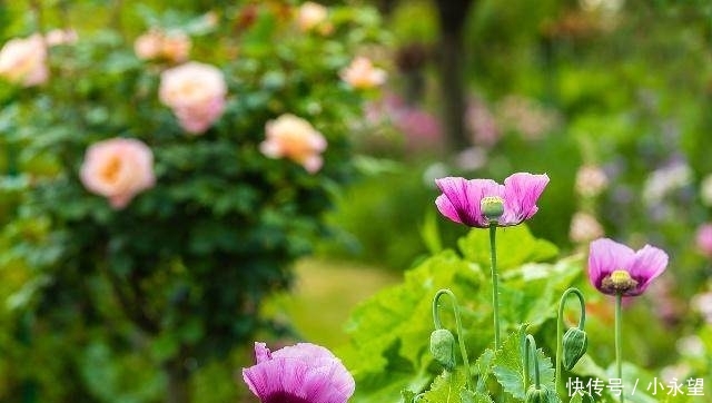 今年，农村7样东西要被没收，村干部挨家清查，家里有的尽早处理