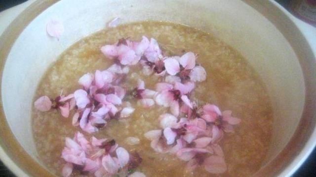  早餐：一缕阳光、照在桃花树下，醒悟早餐美食