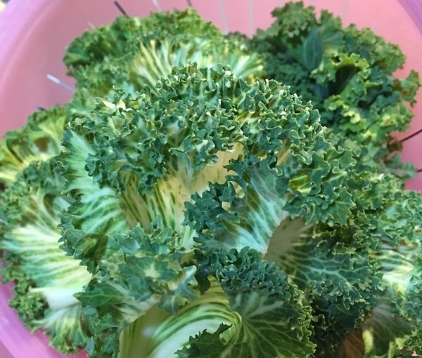 女性不想满脸皱纹，推荐多食此菜，补充胶原蛋白，保持美丽容颜！