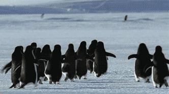 大风大雨冷空气！江西一年中最冷的时候来了！未来天气让人无语