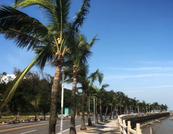 中国最干净的4座城市,节假旅游首选,来看看有没有你所在的地方