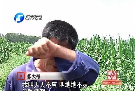 18亩的西瓜一夜之间“不翼而飞”, 一家人快哭死了