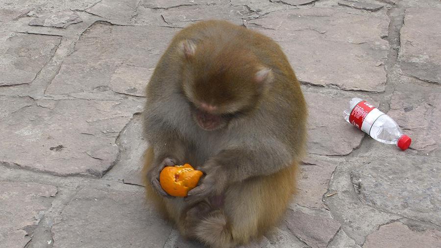 女子在景区被抢走两部手机,报警夺回后发现已损坏,景区:管不了