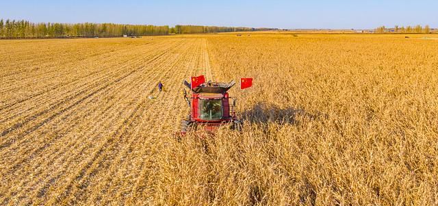  [农民]农民种地不赚钱，那么谁受益了呢？
