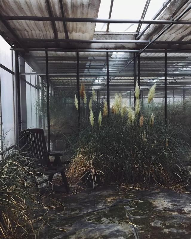  花店@请拖住下巴，全球9间超赞的花店