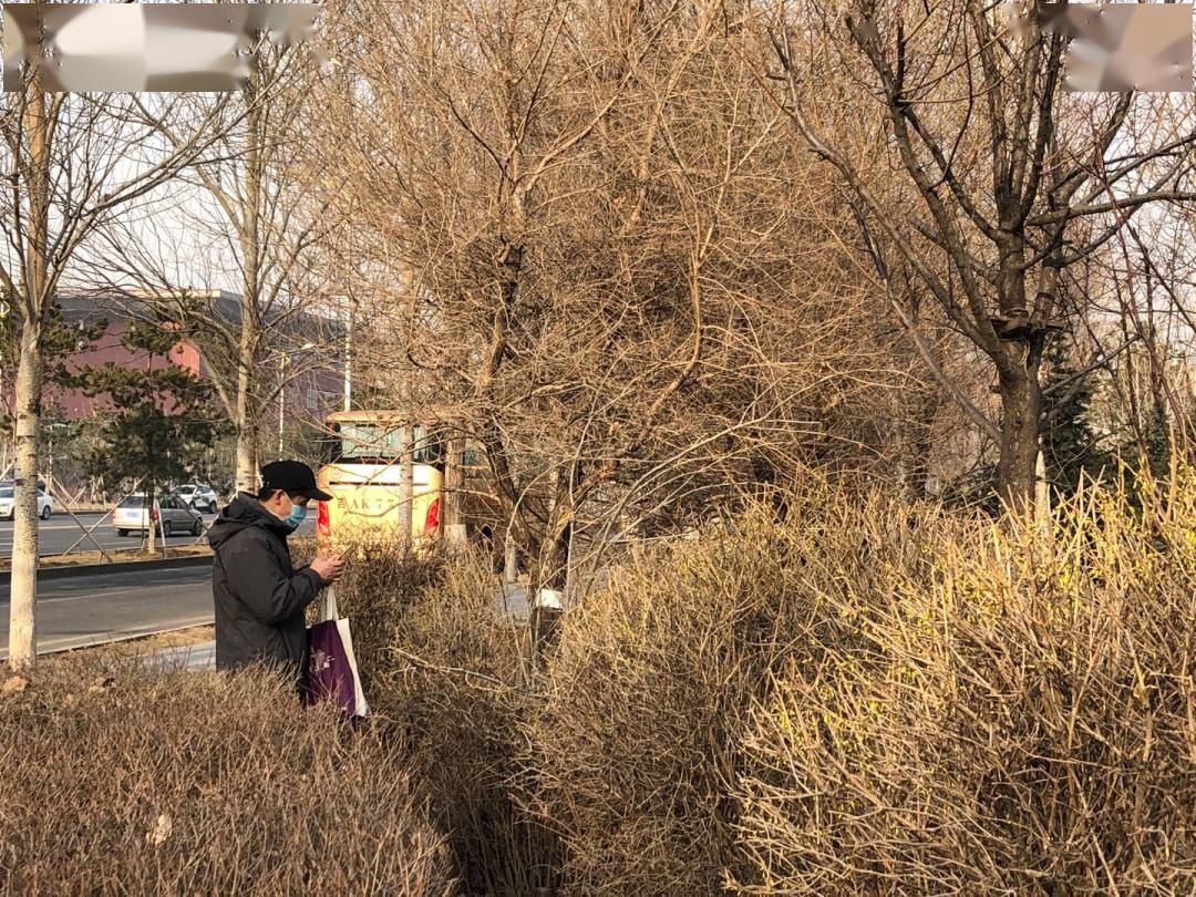  蹿到：@长春人，明天可以穿短袖喽！最高气温蹿到了21℃…