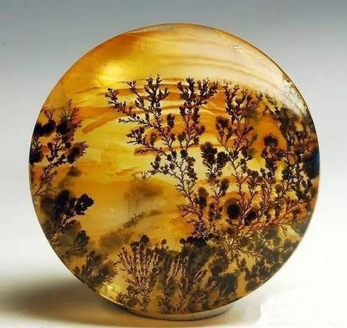 这些万年石头里都藏着一幅画，神奇到你难以置信！！