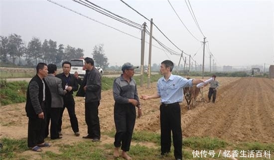  「农村」10年后，农村最值钱的不是房子和车子，而是这四样东西