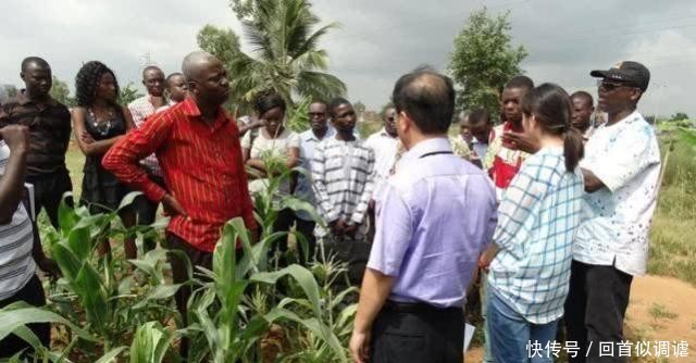  【非洲】发完工资：非洲工人就不见了？中国老板仅一招，让他们