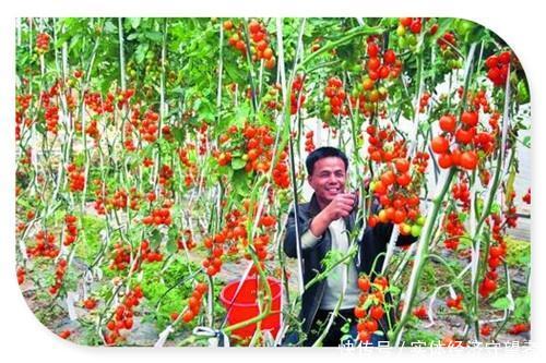  不外乎■农村靠什么赚钱呢？不外乎这几个行业，一定要选好项目