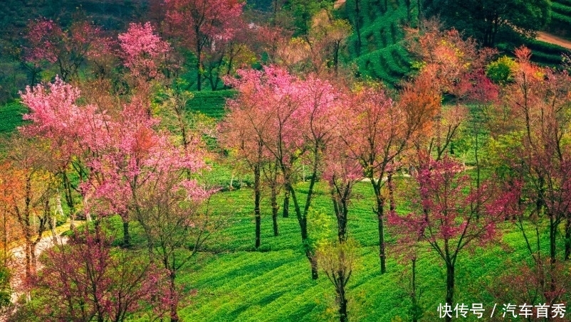 有一种旅行，叫冬天去云南