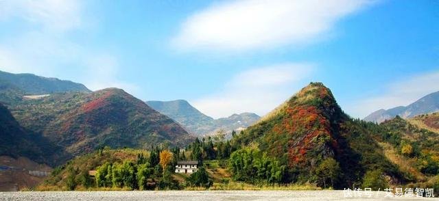 国务院点名! 沙坪坝、江北、涪陵、万州……这20个区都在榜!