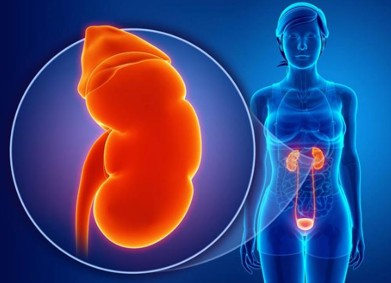 大家都抽烟喝酒吃海鲜,为什么就我得痛风?