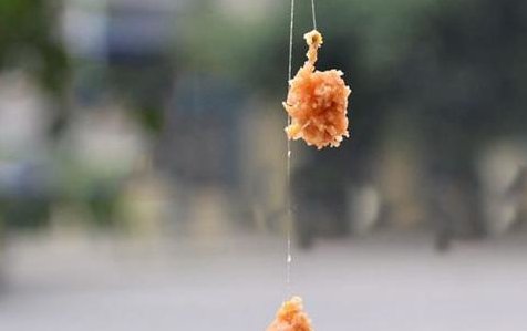  「王道」野钓鲫鱼到底是搓饵好,还是拉饵好?能上鱼才是王道