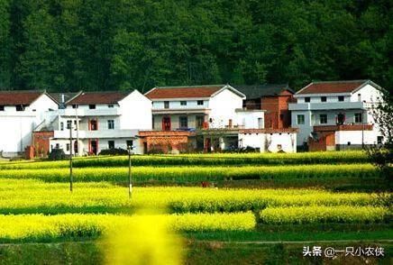 户口迁出农村，但农村还有房子，如果拆迁怎么办？