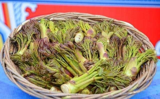 「酷似」酷似香椿芽,却比椿芽好吃百倍,人称“山野菜之王”,如今吃不到