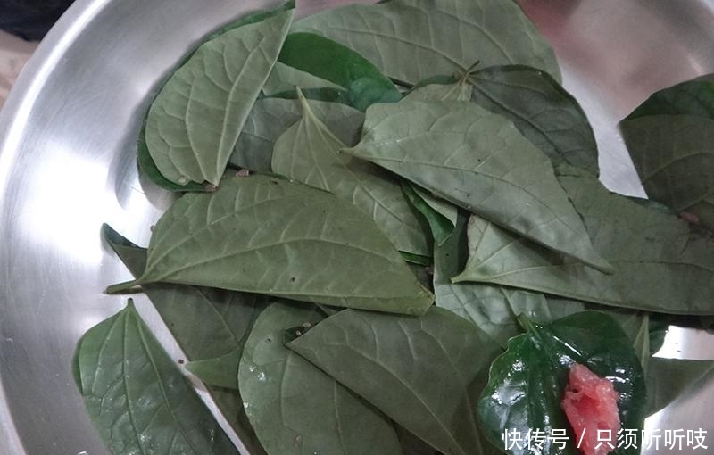 农村竹林里一种神奇野草，嚼2片叶子能治牙疼，炒田螺更是一绝