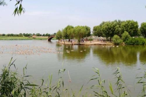 国内又现“宰客”景区,仅船票就200元,游客:消费不起