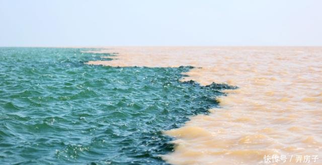 黄河流了上千年，为啥泥沙没把渤海填满，看完觉得书白读了