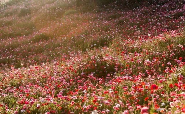 美了千年的甘肃，比新疆刺激，比西藏神圣！