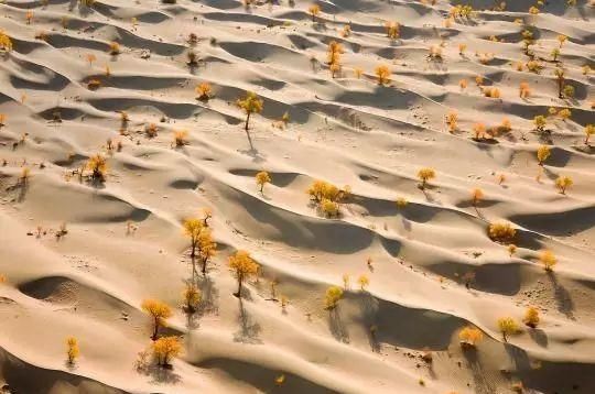 这20个世界罕见奇观都在中国 去过算白赚！