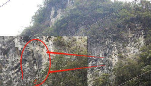 游客在旅途中,无意拍摄到重庆悬崖峭壁上,趴着一只3米长大老鼠