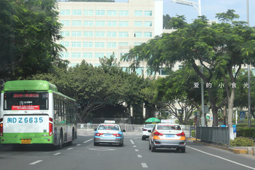 大雪将至，而这座城市却总是入冬失败，街上行人各种乱穿衣