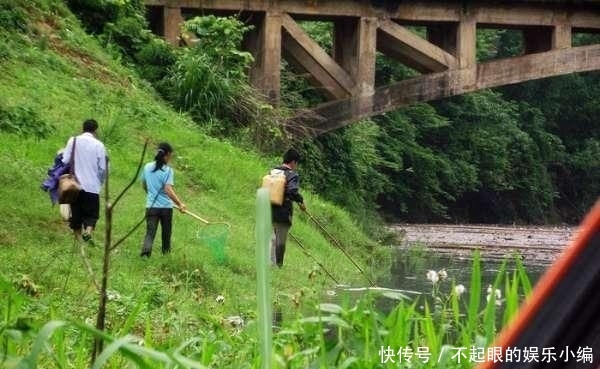  顾不上：野河钓鲫，环境优美，恰似人间天堂，却遭遇“电工”洗劫