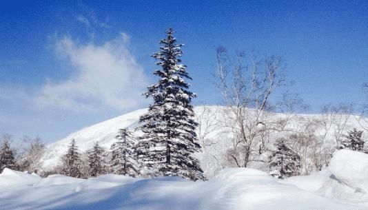 曾经红极一时的雪乡，宰客事件之后生意惨淡，现在无人相信