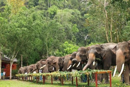 云南最美的5个景区，一片原始的自然风光，引无数游客慕名前来！