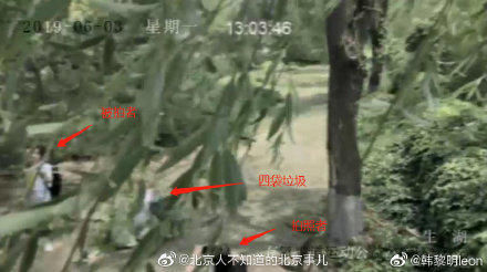 捡垃圾■女子公园捡垃圾被扒摆拍又反转？警方：恶意炒作！处罚未定