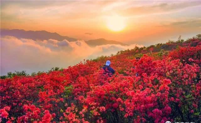 『枫树岭镇白马乳洞山』此景只应天上有!淳安这里美得“惊心动魄”……