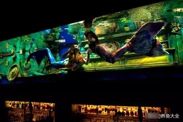  「美人鱼」美人鱼酒吧，喝酒还是看美女？