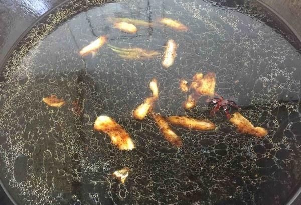 「特别」遇到这种鱼千万不要手软,含钙量特别高,常给孩子吃,个子长得高
