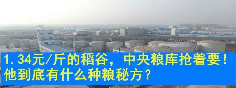 生长在泥巴里的“致富果”，亩产3000斤，效益是稻谷的几倍！