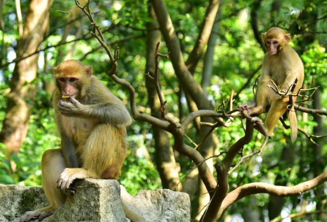 国内最适宜养老的省会,青山绿水景色宜人,现成著名旅游城市