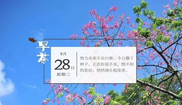  救援：救助坠崖驴友后失联，深圳两救援队员已不幸牺牲 | 新闻早