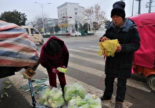  韩大叔|农民种植一种蔬菜，10亩收入30000元，期盼春节前卖出去