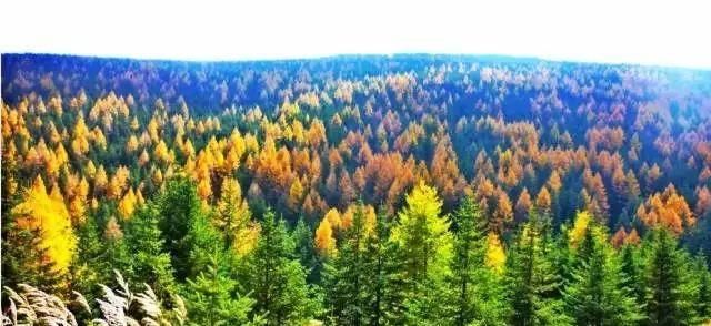 秋日里，山西20处绝美赏秋胜地美的像仙境